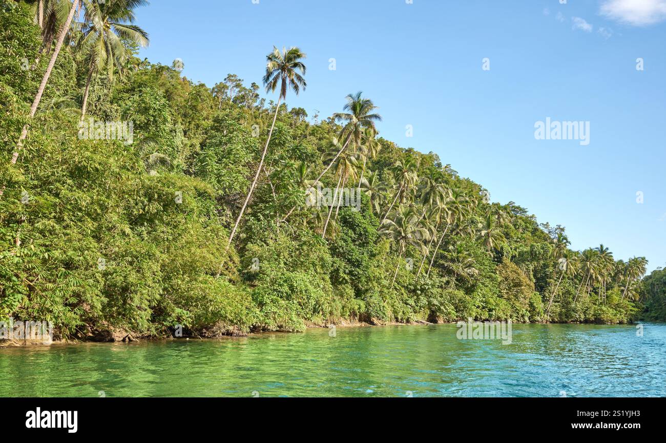 Vue sur la rivière Loboc, l'une des principales destinations sur l'île de Bohol, Philippines. Banque D'Images