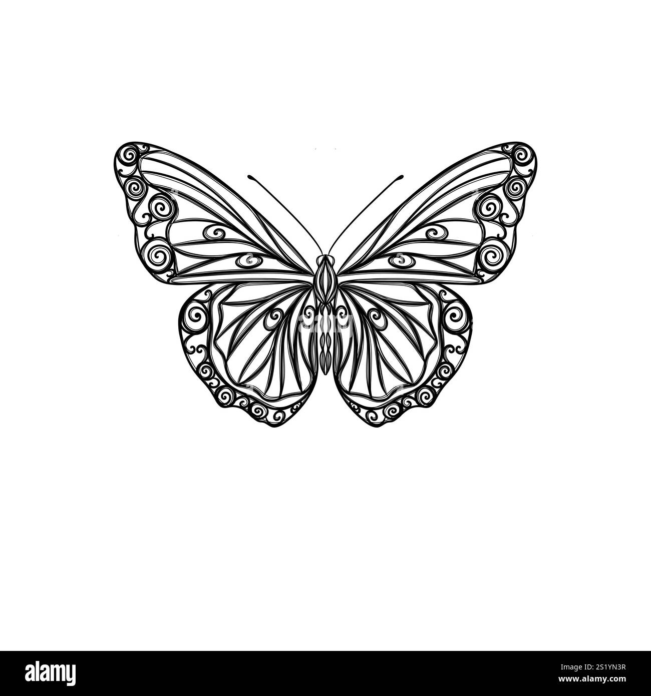 Dessin au trait papillon, mise en page pour l'impression d'illustrations sur T-shirts, blocs-notes, couvertures Banque D'Images