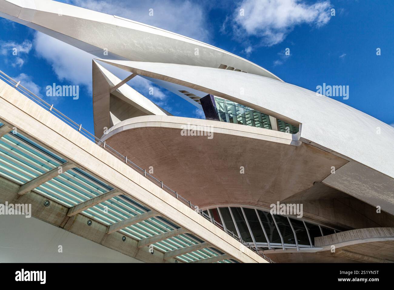 Futuriste Queen Sofía Palais des Arts dans la Cité des Arts et des Sciences, Valence, Espagne Banque D'Images Futuriste Queen Sofía Palais des Arts dans la Cité des Arts et des Sciences, Valence, Espagne Banque D'Images