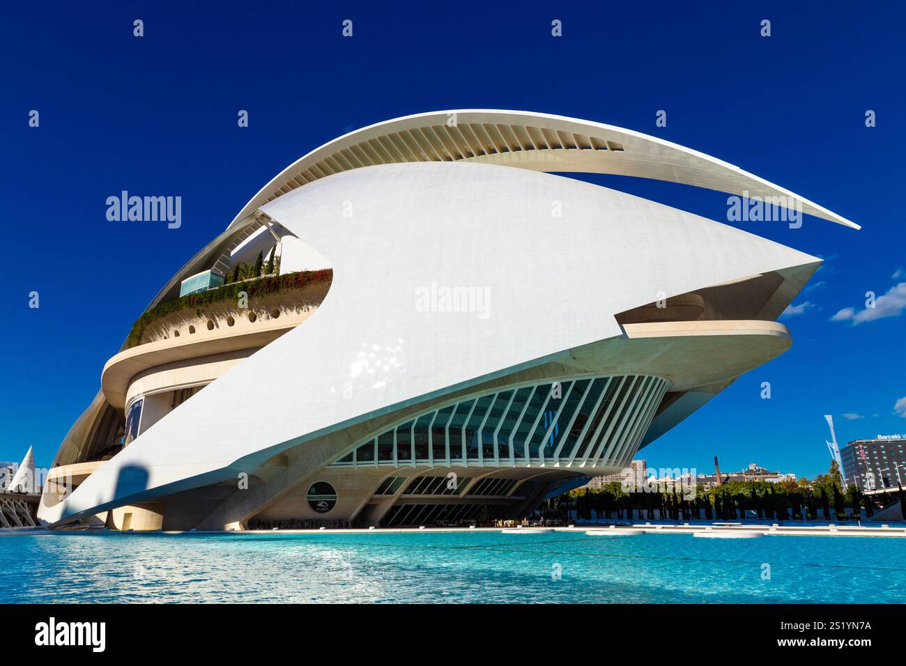 Futuriste Queen Sofía Palais des Arts dans la Cité des Arts et des Sciences, Valence, Espagne Banque D'Images Futuriste Queen Sofía Palais des Arts dans la Cité des Arts et des Sciences, Valence, Espagne Banque D'Images