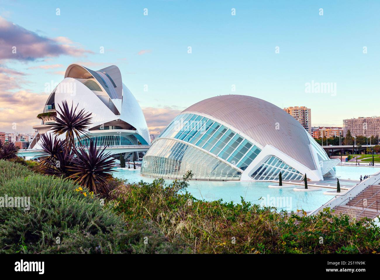 Bâtiments futuristes de la Cité des Arts et des Sciences (Palais de la Reine Sofia et hémisphérique), Valence, Espagne Banque D'Images Bâtiments futuristes de la Cité des Arts et des Sciences (Palais de la Reine Sofia et hémisphérique), Valence, Espagne Banque D'Images