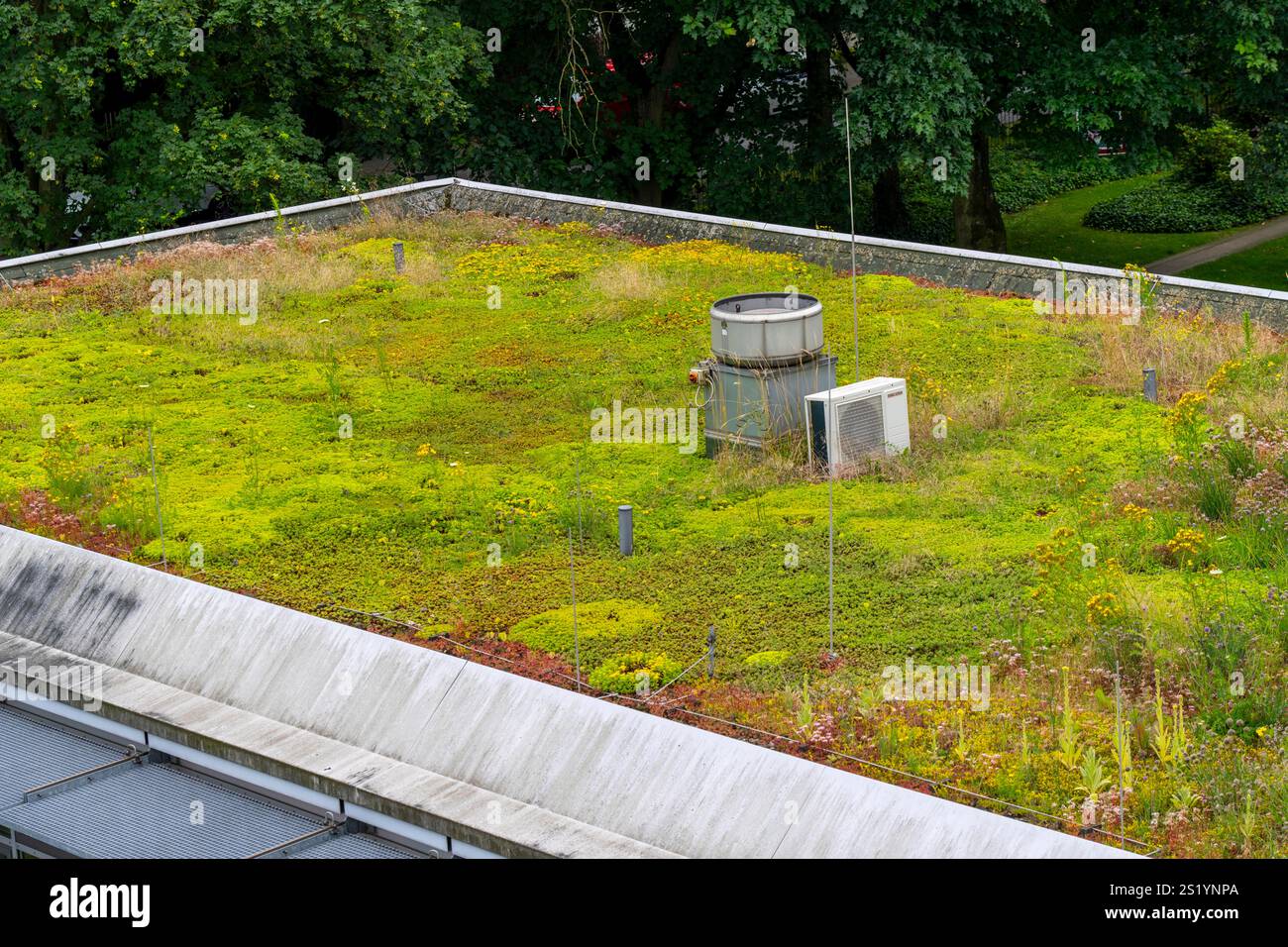 Toit vert d'un bâtiment technique, avec une variété de plantes, d'herbes et de fleurs poussant sur le toit plat, Emscher Klärpark, ancien Läppkes Mühlenbac Banque D'Images