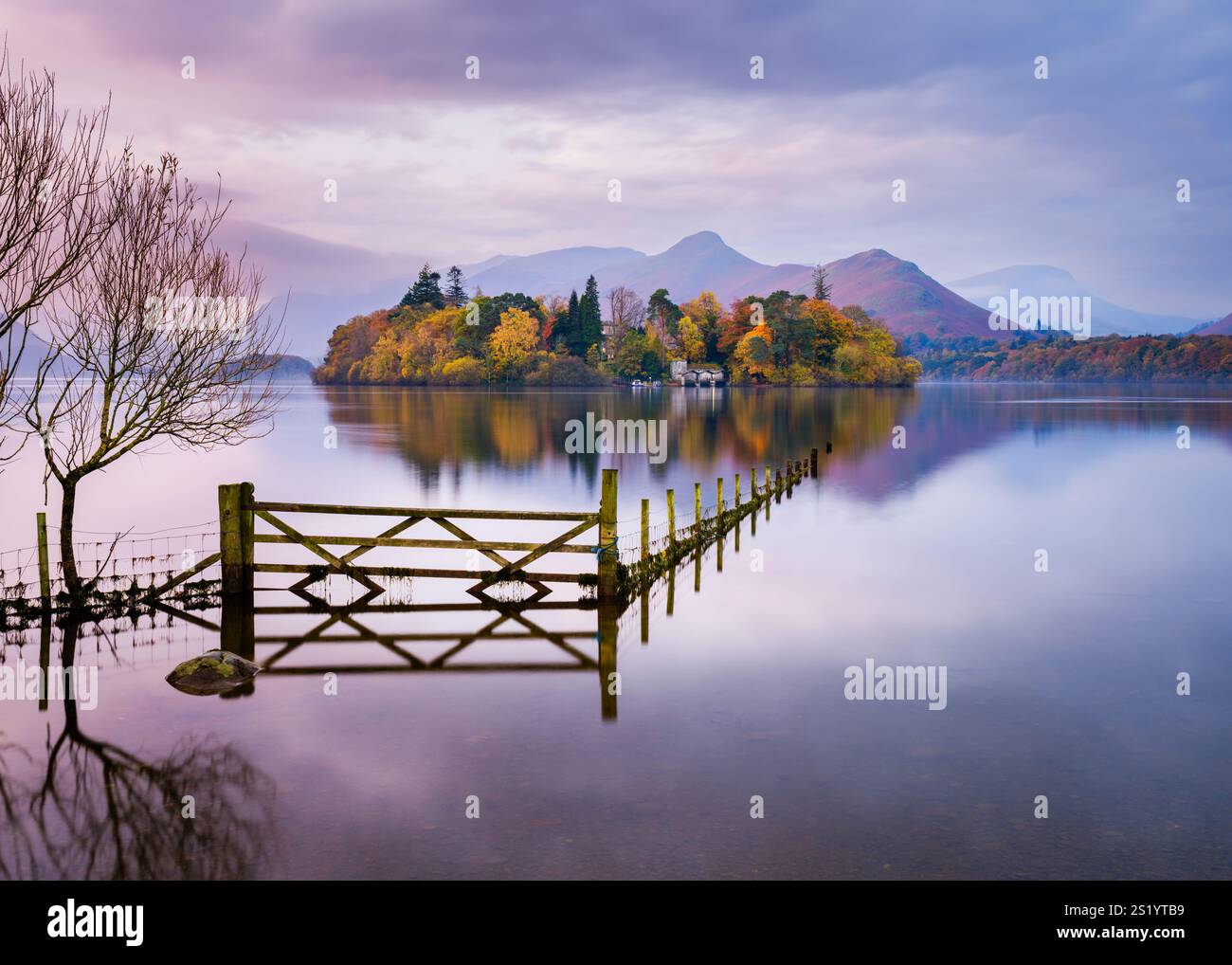 Une eau de Derwent calme tôt le matin reflétant les couleurs automnales des arbres sur l'île de Derwent, avec Cat Bells comme toile de fond. Lake District, Royaume-Uni Banque D'Images