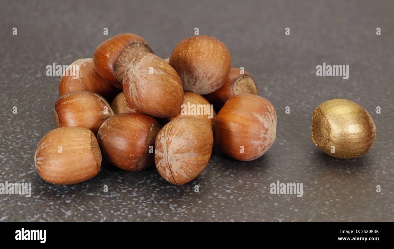 Golden nut concept - se démarquer de la foule et être la noix d'or parmi les grandes noix Banque D'Images