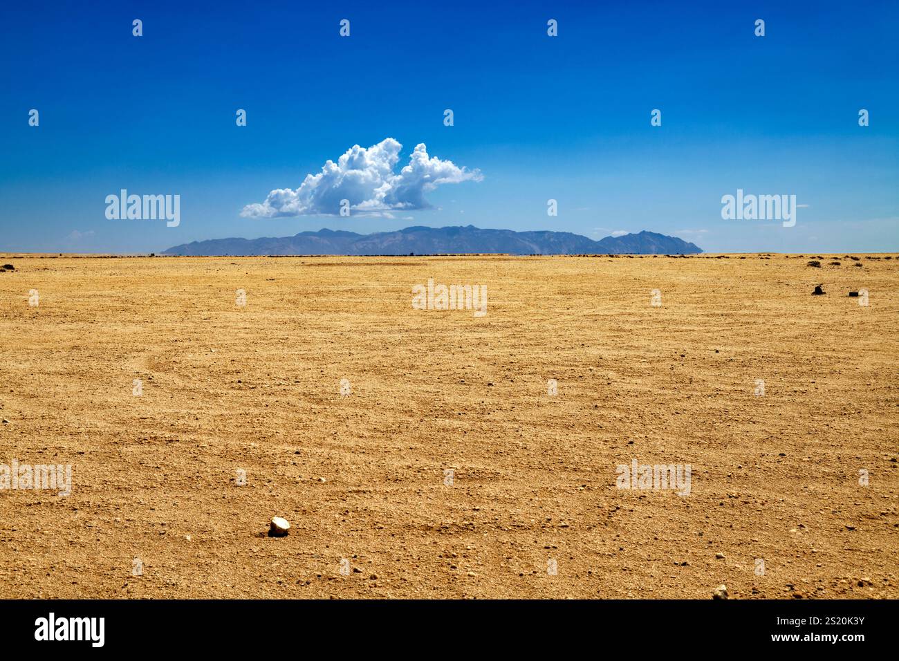 Vue du sud sur le désert du Namib jusqu'au Brandberg, région d'Erongo, Namibie Banque D'Images
