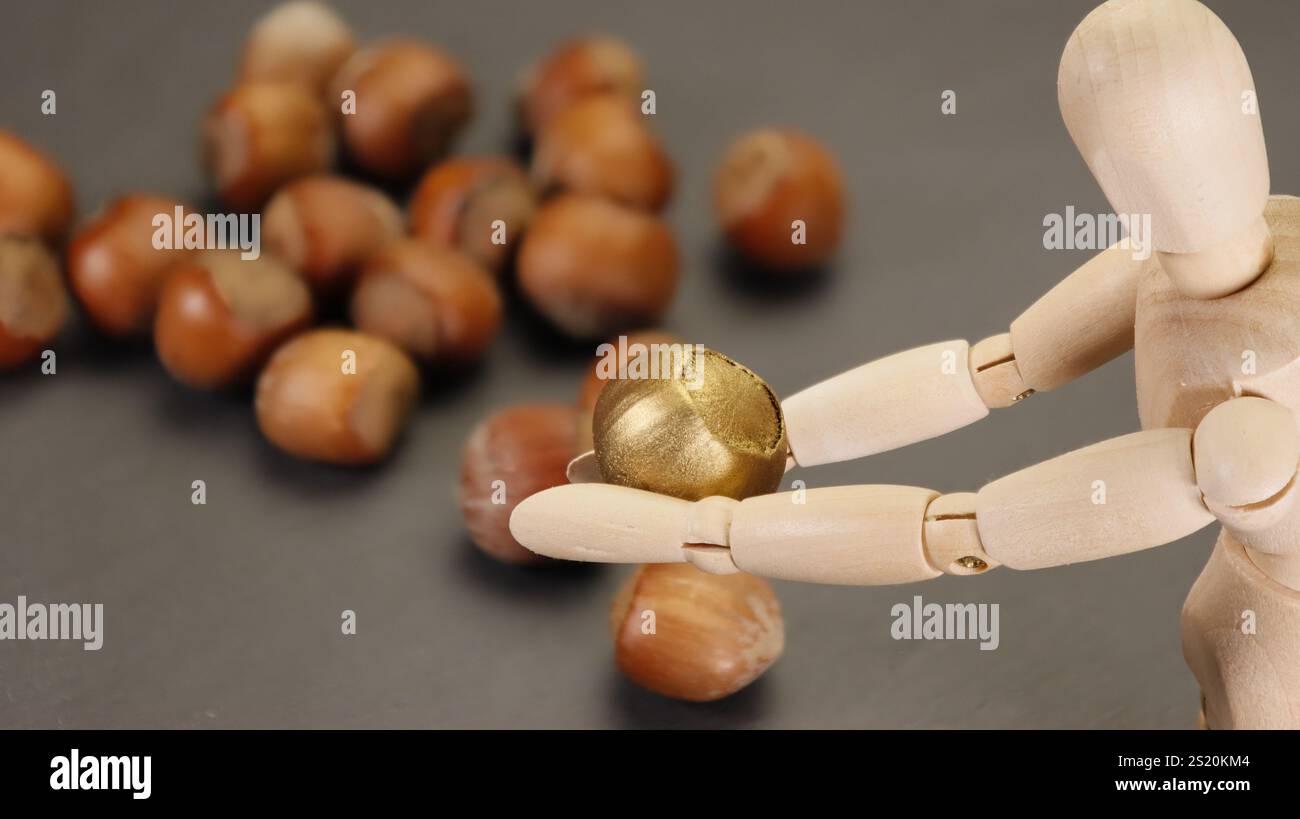 Trouvez la noix d'or ou la pépite parmi les noix creuses - avec un fond flou Banque D'Images