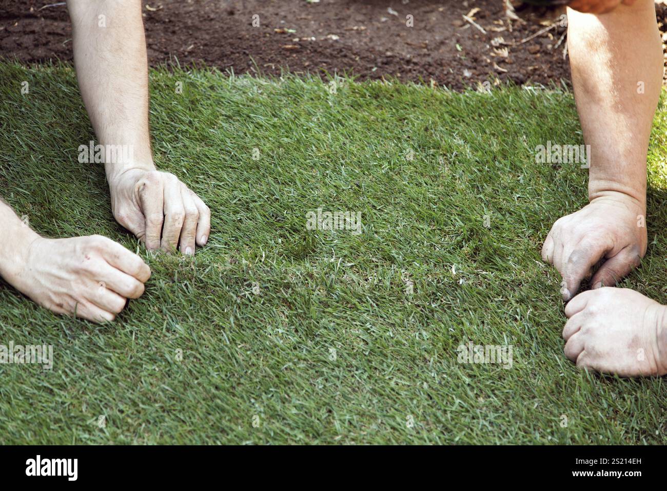 Jardiniers posant du gazon dans un jardin Autriche Banque D'Images