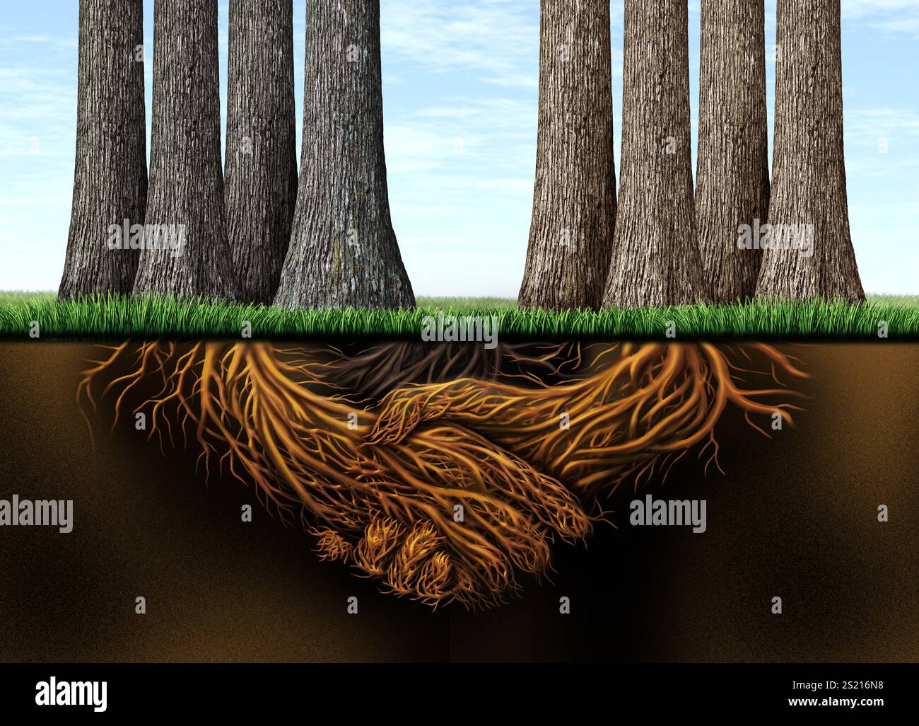Un partenariat d'affaires fort et une métaphore du travail d'équipe comme deux groupes différents se réunissant avec une poignée de main représentée par des arbres et des racines de stronk. Banque D'Images
