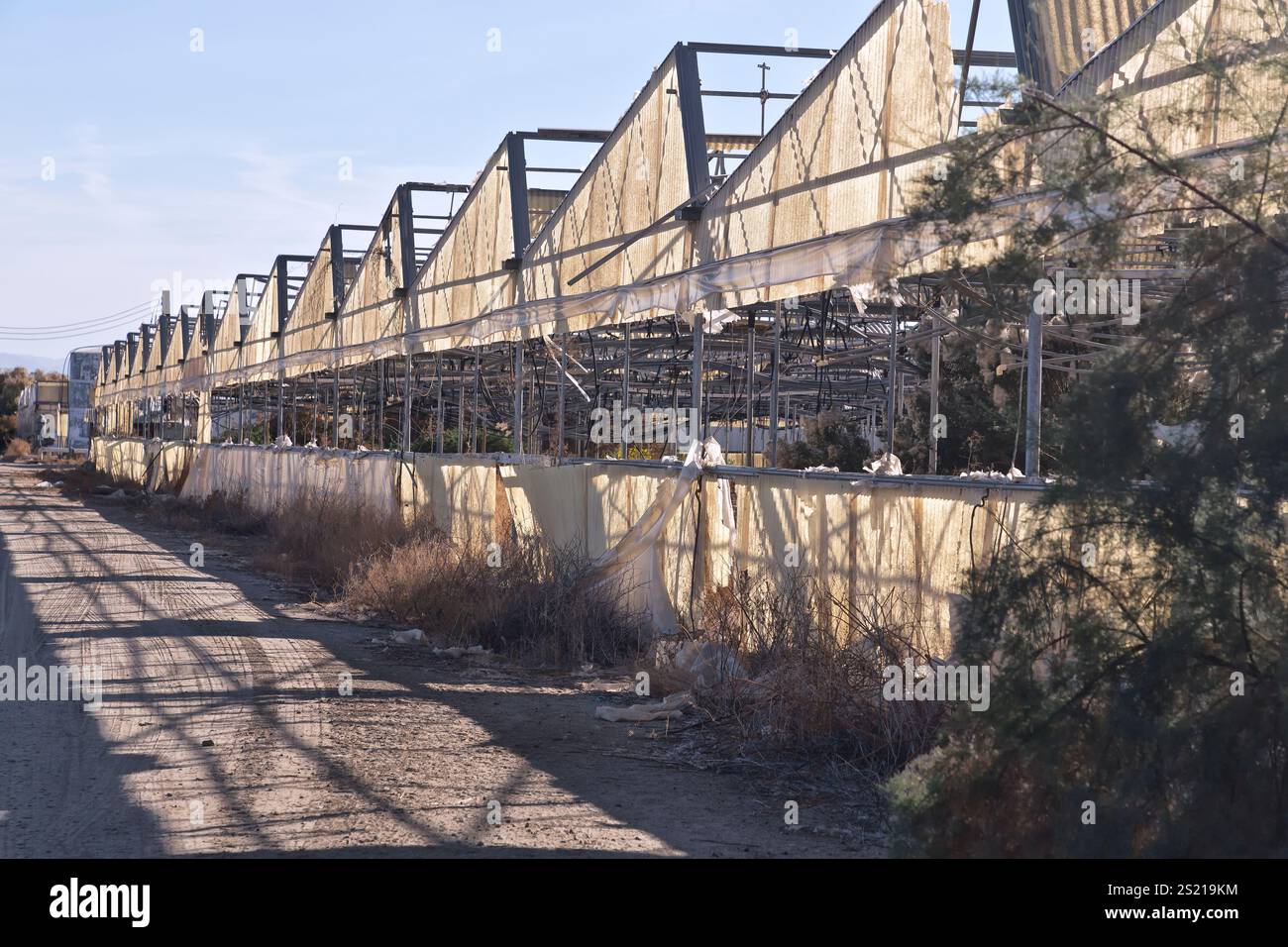 Obsolète, abandonné vert - serres, drapées de plastique et de matériau polyvinyle, Californie. Banque D'Images