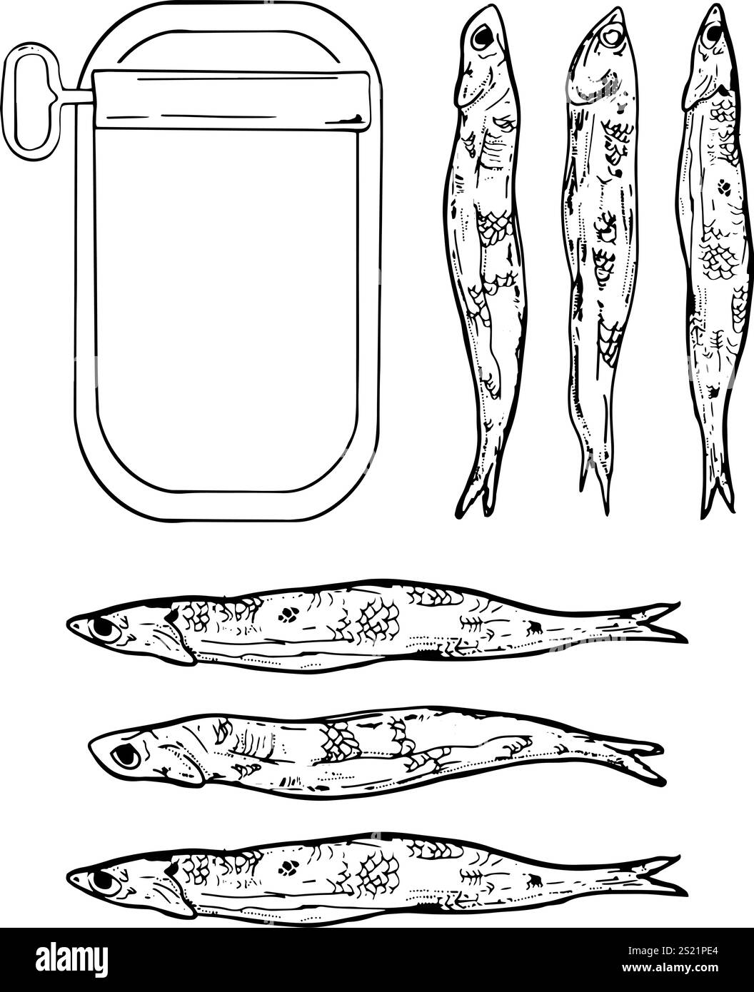Illustration noire et blanche dessinée à la main de sardines dans une boîte de conserve Illustration de Vecteur