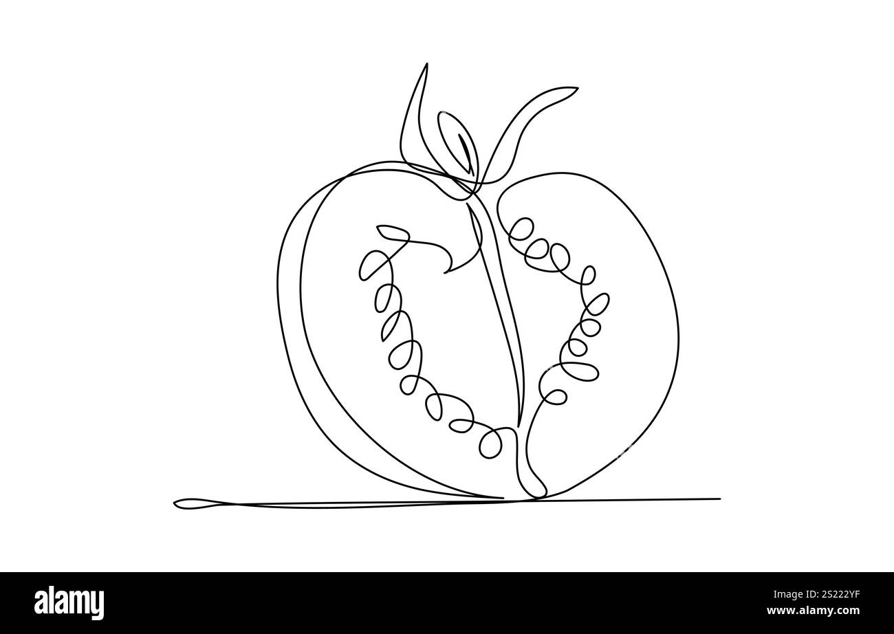 Tomate continue d'une ligne pour l'impression d'épicerie sur des affiches et des bannières de style linéaire vecteur Illustration de Vecteur