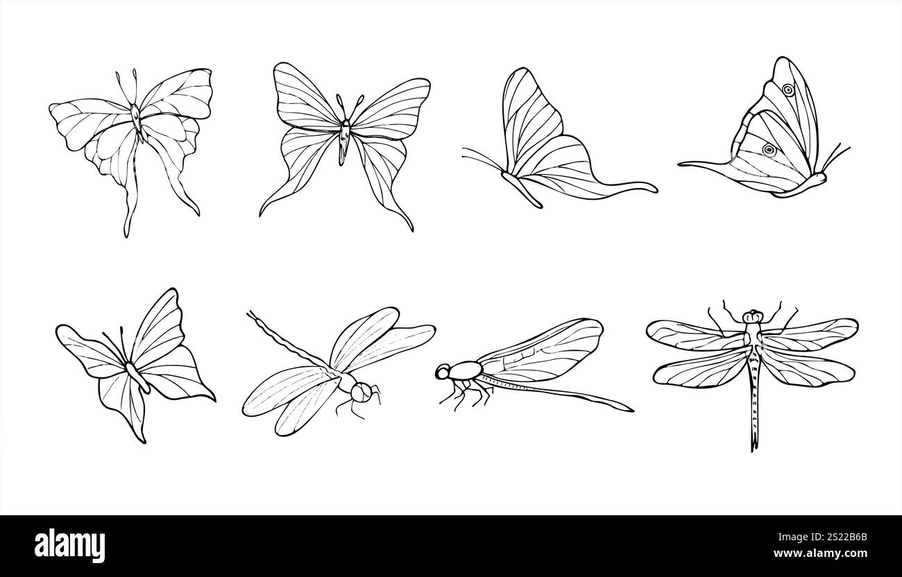 Clip d'illustration isolé de papillons volants et de libellules par vecteur Insectes flottants abstraits peints à l'encre noire. Elément décoratif pour animaux Illustration de Vecteur