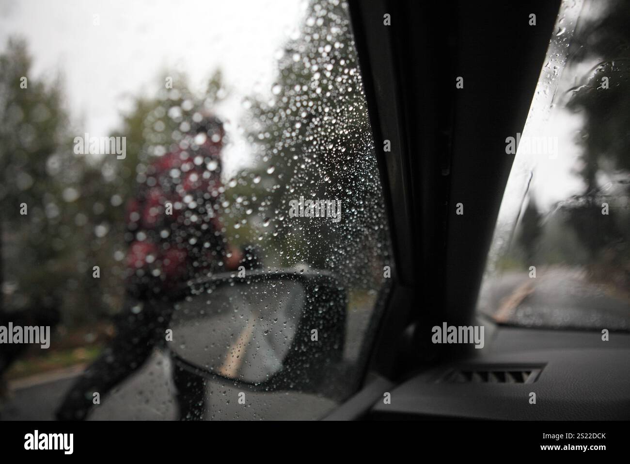 Gauche, homme non identifié, route de campagne humide et trottoir diffus, brouillard et arbres aiguilles vus à travers les gouttes de pluie sur le pare-brise et le rétroviseur latéral d'une voiture. Banque D'Images