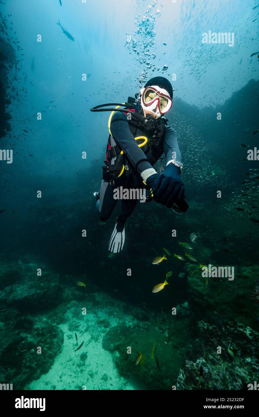 Plongeur explorant les eaux tropicales autour des îles Similan Banque D'Images