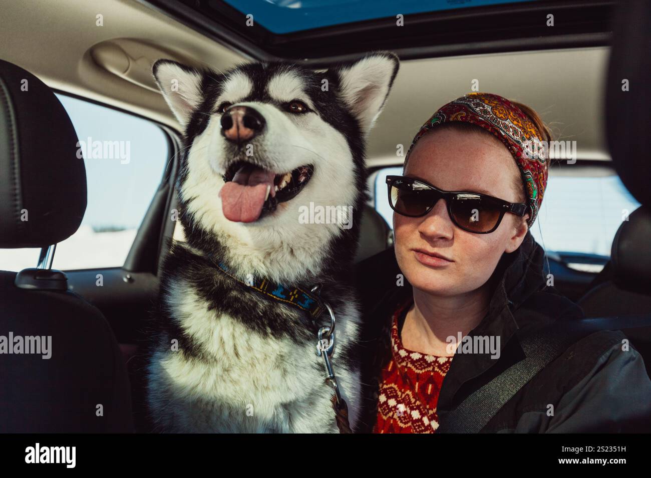 Alaskan Malamute et femme sur un voyage hivernal Banque D'Images