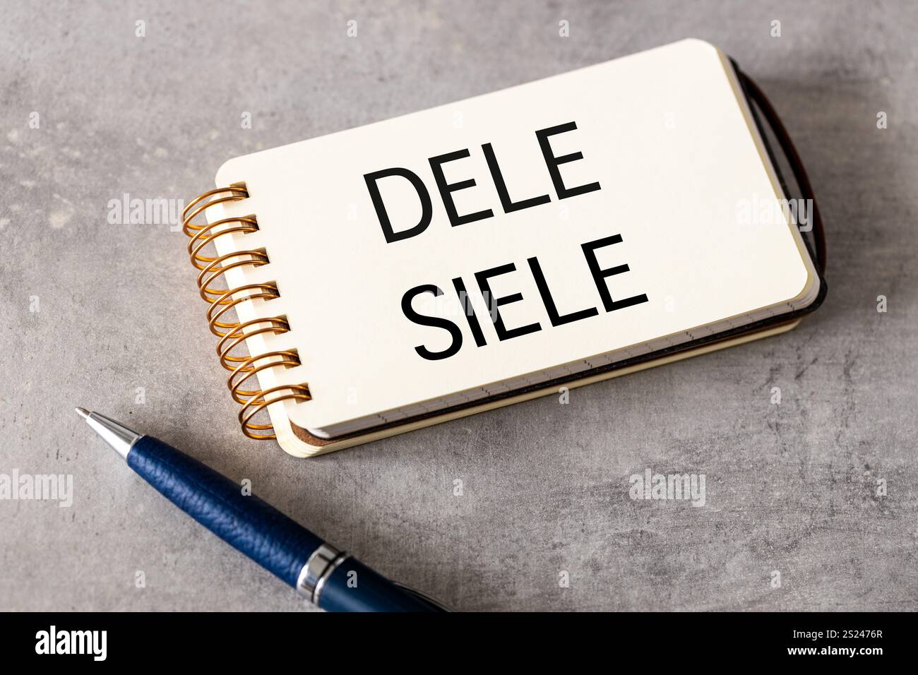 SIELE et DELE, examens internationaux et évaluation du niveau de langue espagnole. Mots écrits dans un cahier, symboles conceptuels, éducation et développement Banque D'Images