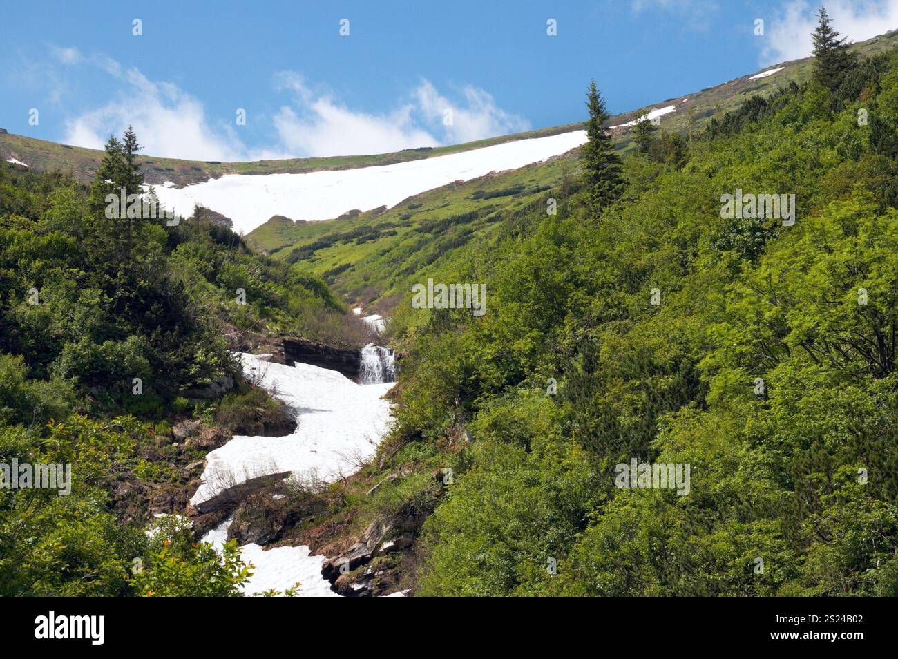 Le reste de la fonte de la neige sur la montagne d'été Banque D'Images