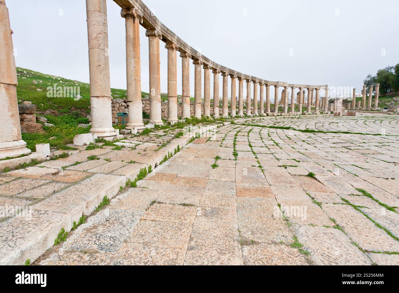 Colonnade sur le forum ovale romain antique de Jerash, ville en Jordanie Banque D'Images