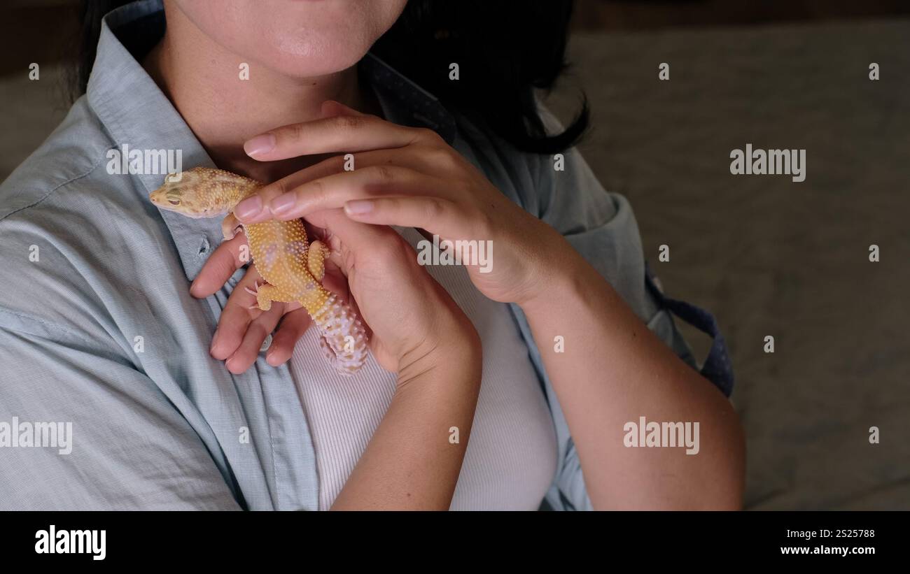Gros plan d'un gecko tendrement tenu près de la poitrine, mettant en évidence ses motifs lumineux. Il capture l'importance de la confiance et de l'affection dans Banque D'Images