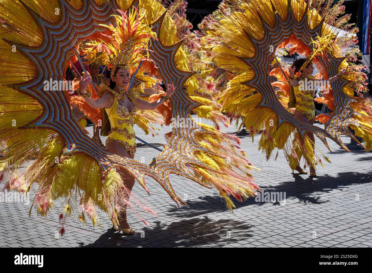 Un groupe de danse portant des costumes à plumes élaborés lors d'un festival de rue à Sinaia, en Roumanie Banque D'Images