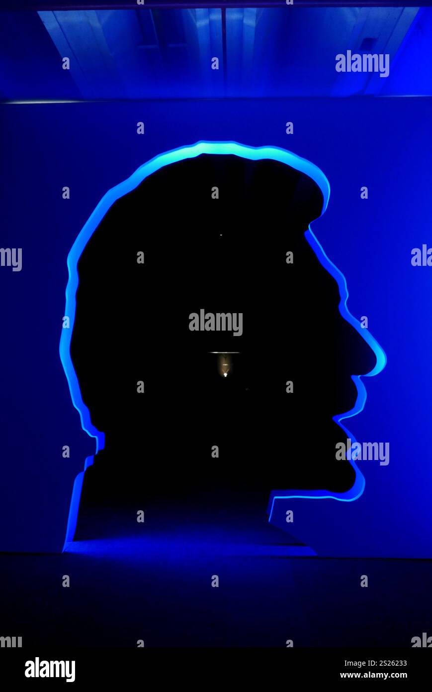 Johnny Hallyday, L'exposition, Paris, France, Europe Banque D'Images