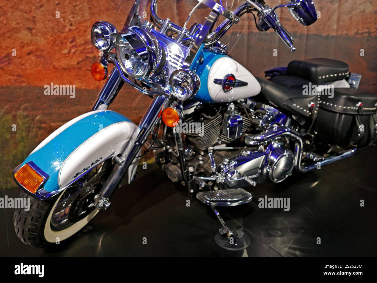 Johnny Hallyday, L'exposition, Paris, France, Europe Banque D'Images