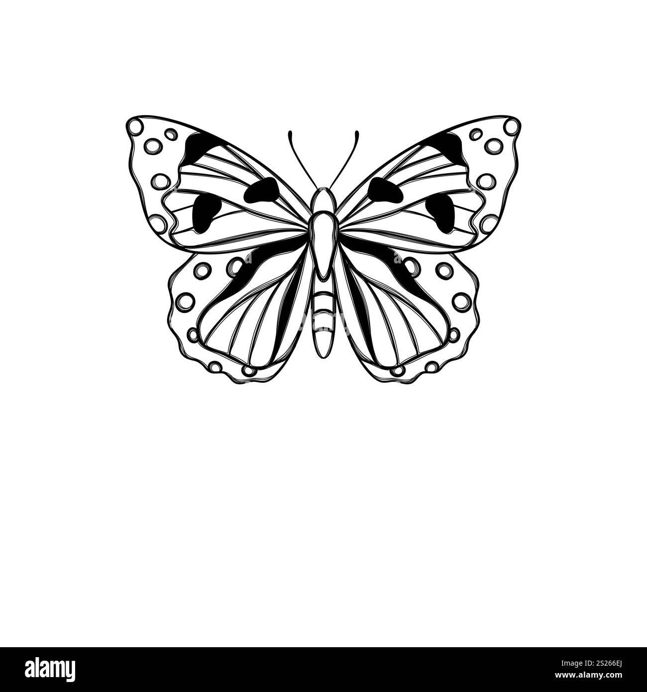 Dessin au trait papillon, mise en page pour l'impression d'illustrations sur T-shirts, blocs-notes, couvertures Banque D'Images