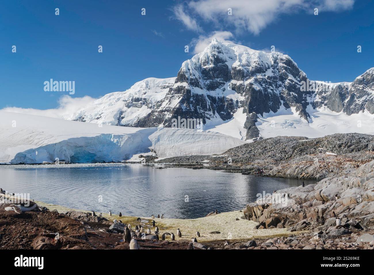 Vue sur les montagnes et le glacier à Port Lockroy, péninsule Antarctique, Antarctique Banque D'Images