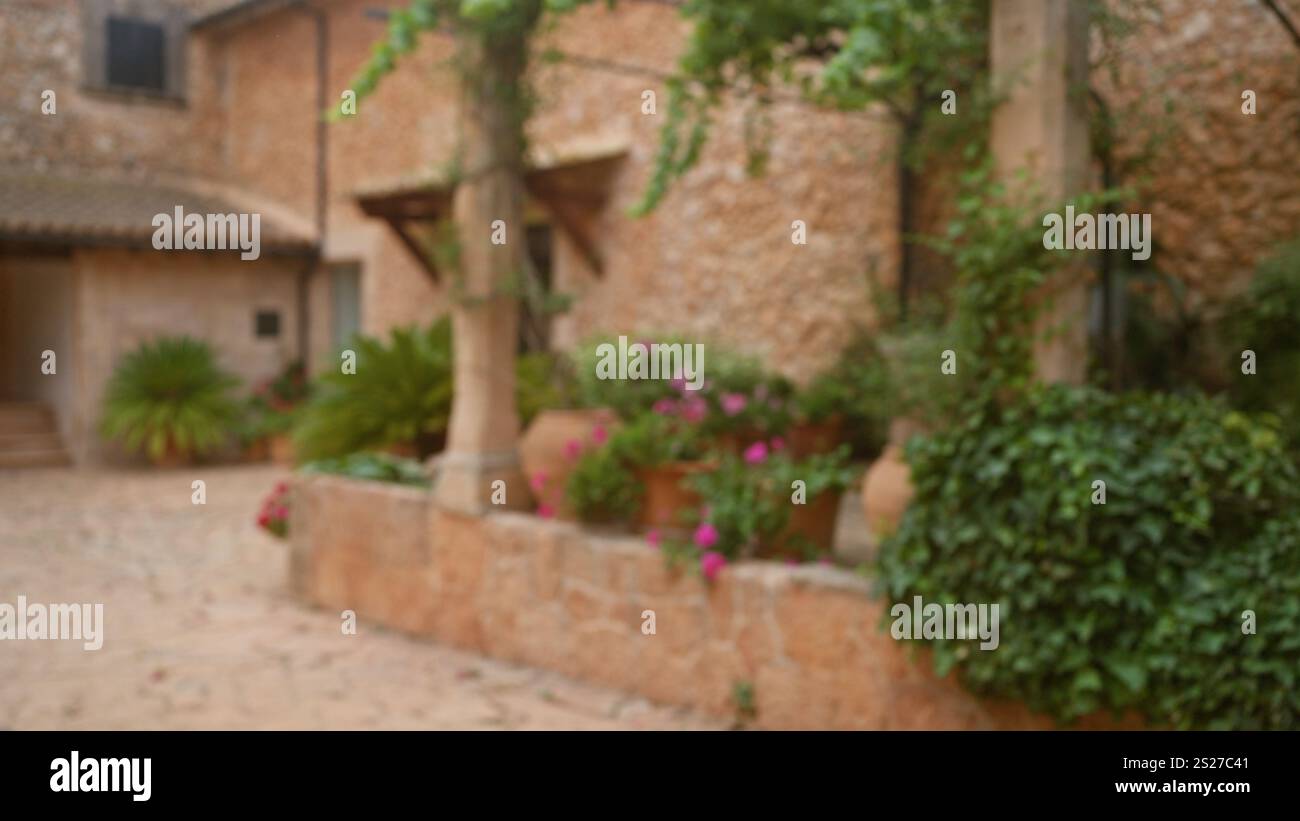 Scène extérieure défocalisée à majorque avec une maison en pierre rustique avec des plantes luxuriantes et des fleurs dans des pots en terre cuite rehaussant l'ambiance méditerranéenne Banque D'Images