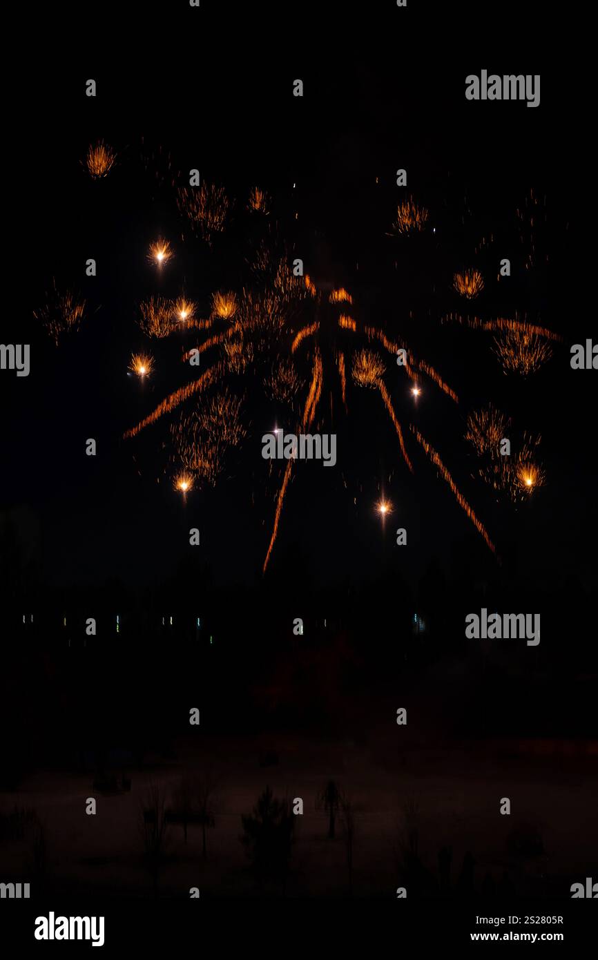 Feux d'artifice festifs dans le ciel nocturne. Banque D'Images