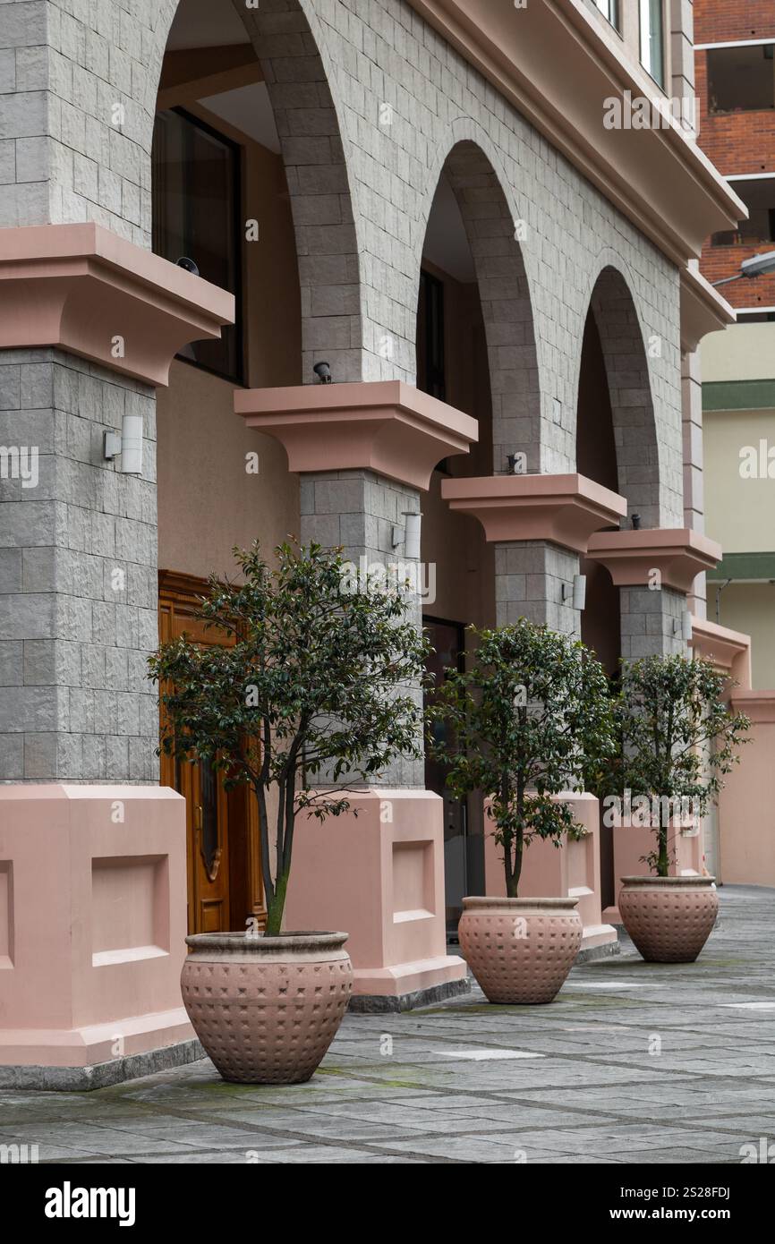 Arcs contemporains avec des structures en forme de colonnes, offrant une touche moderne à l'architecture classique. Ces colonnes cintrées créent un style élégant et dynamique Banque D'Images