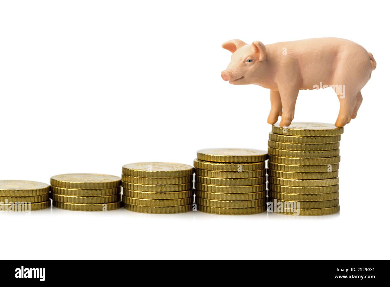 Un cochon se tient debout sur un tas de pièces de monnaie. Augmentation des coûts de l'alimentation animale dans l'agriculture. Baisse des rendements de porc Banque D'Images