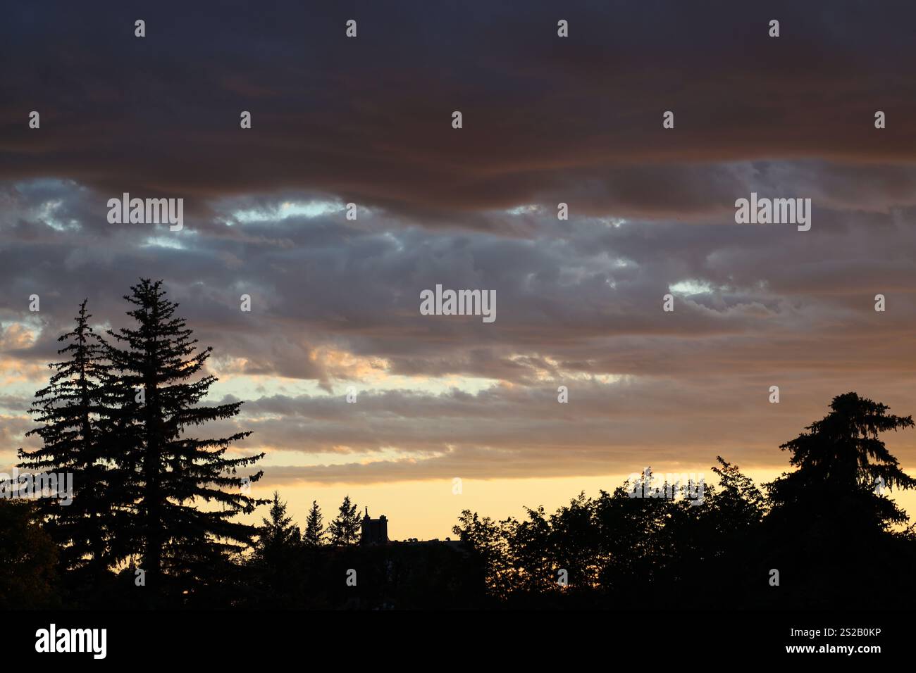 pins grand angle contre le coucher de soleil doré Banque D'Images