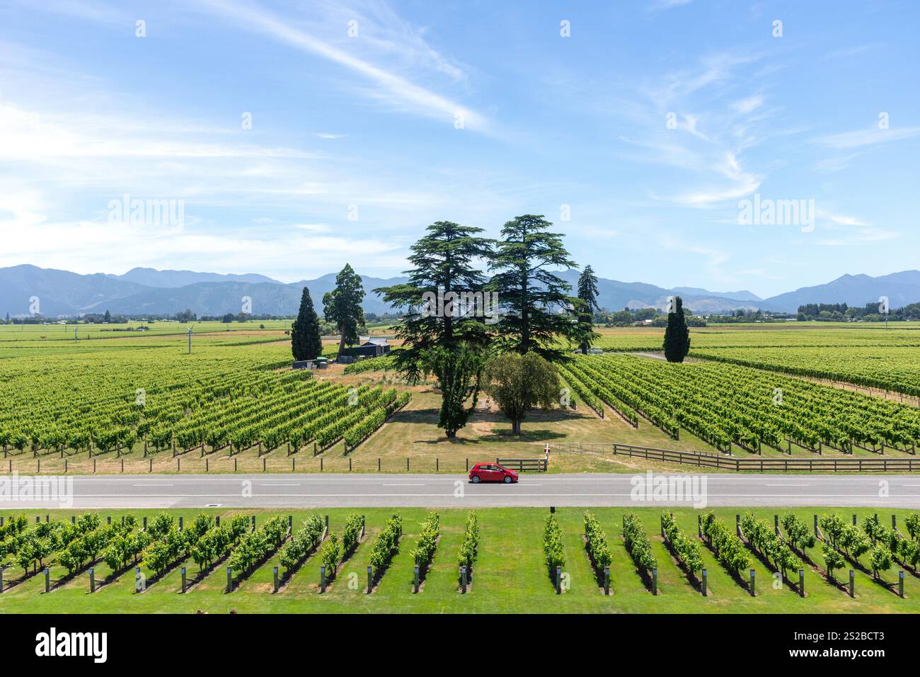 Vue sur le vignoble depuis Wither Hills Winery on Marlborough Wine Trail, Burleigh, Wairau Valley, Marlborough Region, South Island, nouvelle-Zélande Banque D'Images