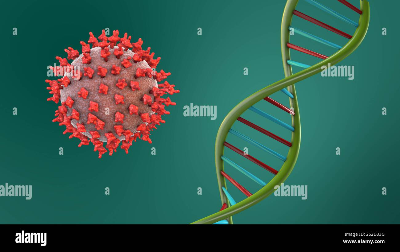Structure de l'ADN et cellules virales HMPV Banque D'Images