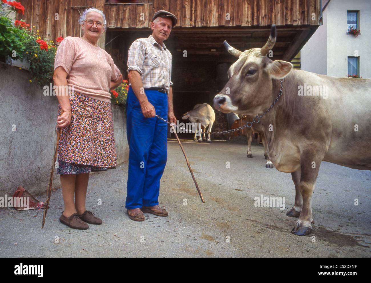 Slovénie ; Danois, couple d'agriculteurs posant avec leurs vaches devant la ferme. Banque D'Images