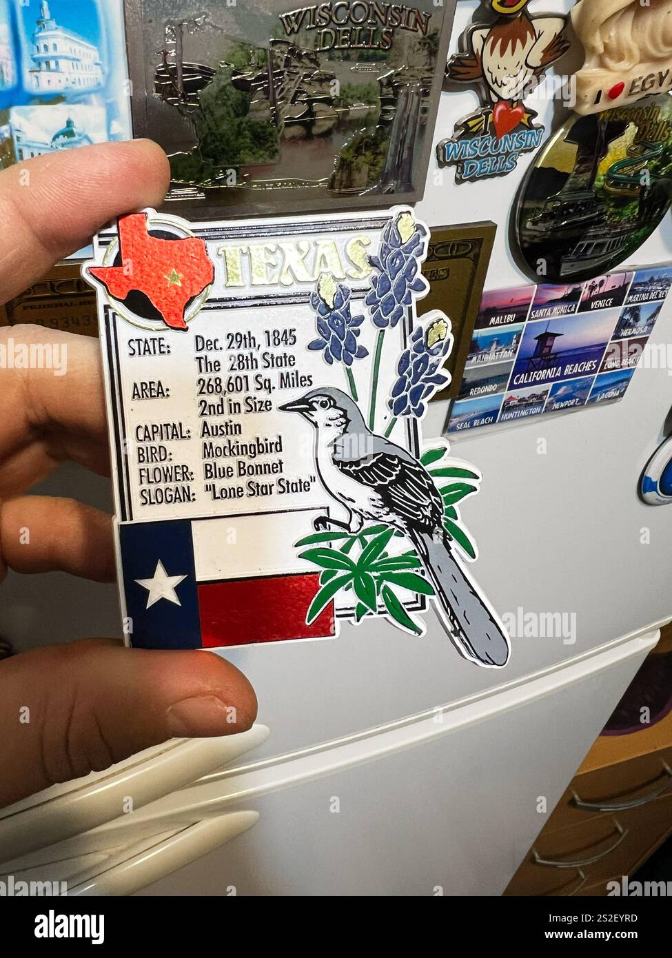 Kiev, Ukraine - 07 janvier 2025 : un aimant de réfrigérateur décoratif sur le thème du Texas mettant en vedette l'oiseau, la fleur, le drapeau et des faits. Les symboles incluent le Banque D'Images