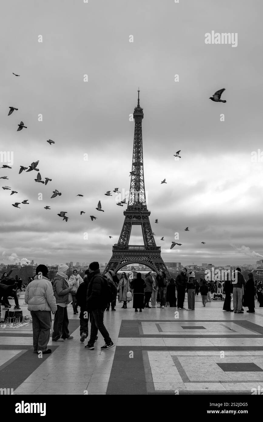 Paris, France, 12.31.2024 spectaculaire photo en noir et blanc de pigeons volant autour de la Tour Eiffel Banque D'Images