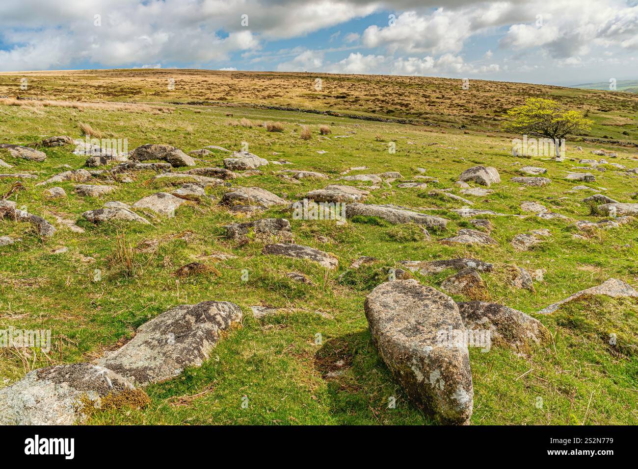 Paysage au parc national de Dartmoor, Devon, Angleterre, Royaume-Uni Banque D'Images