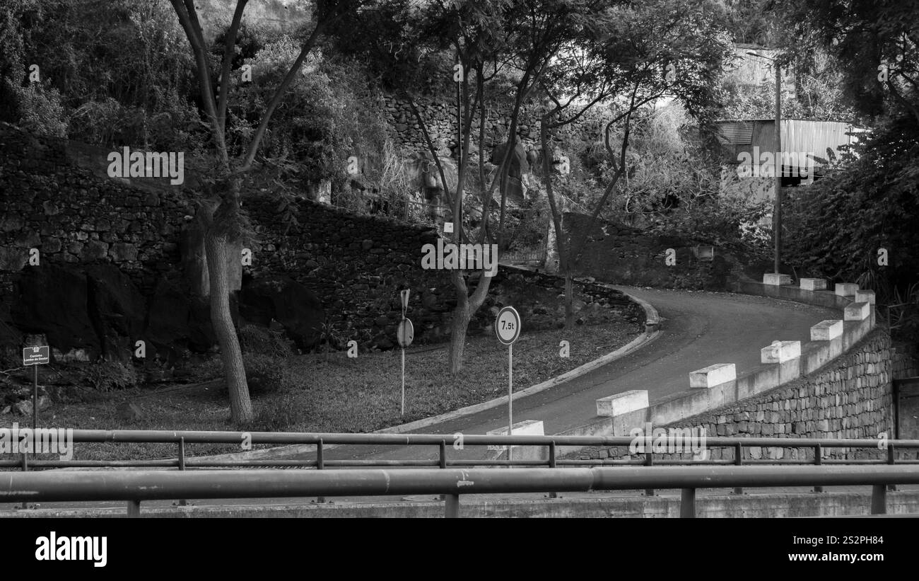 Une route sinueuse entourée d'arbres et de murs de pierre, capturée en noir et blanc. La composition met en valeur un environnement calme, naturel et semi-urbain Banque D'Images