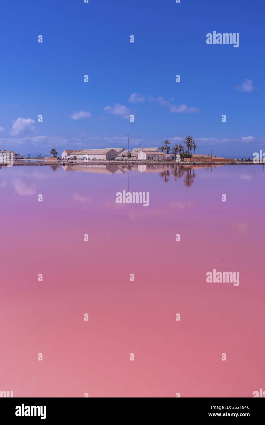 L'eau rose reflète les bâtiments industriels et les palmiers sous un ciel bleu dans les marais salants de san pedro del pinatar, murcie, espagne Banque D'Images