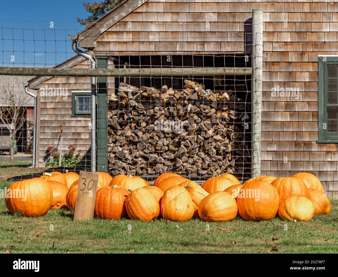 groupe de citrouilles de taille simliar à vendre sur un stand de ferme bridgehampton Banque D'Images