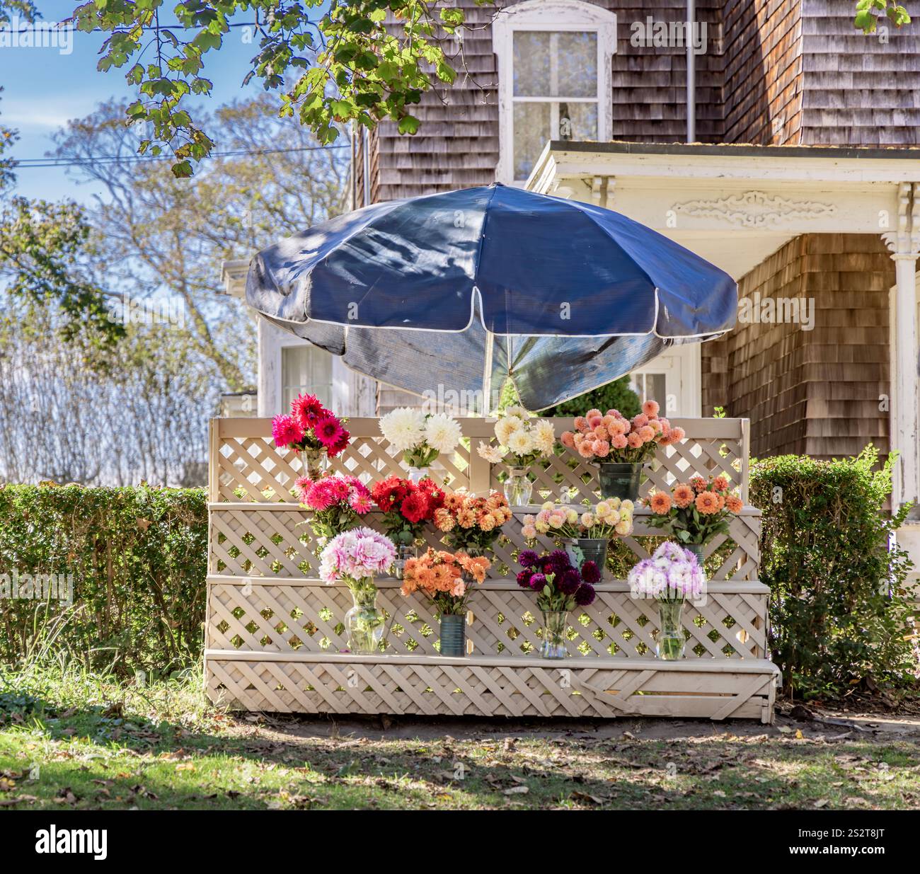 stand de ferme avec des fleurs coupées fraîches sur la route de l'océan à bridgehampton Banque D'Images