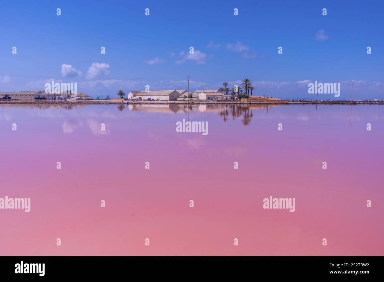 Eau rose calme reflétant les bâtiments industriels et les palmiers sous un ciel bleu dans les marais salants de san pedro del pinatar Banque D'Images