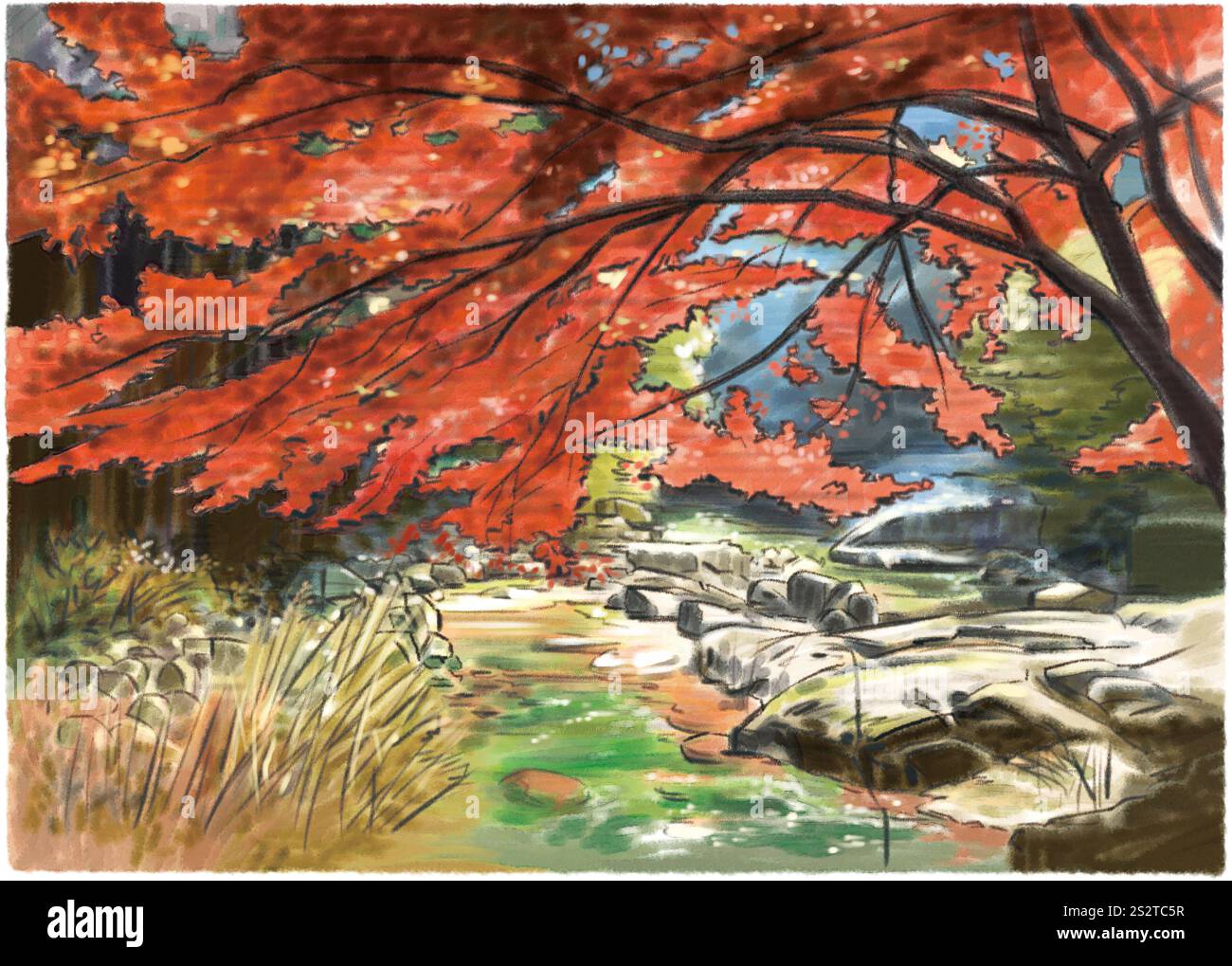 Okutsukei couleurs d'automne à admirer dans une vallée de montagne profonde Banque D'Images