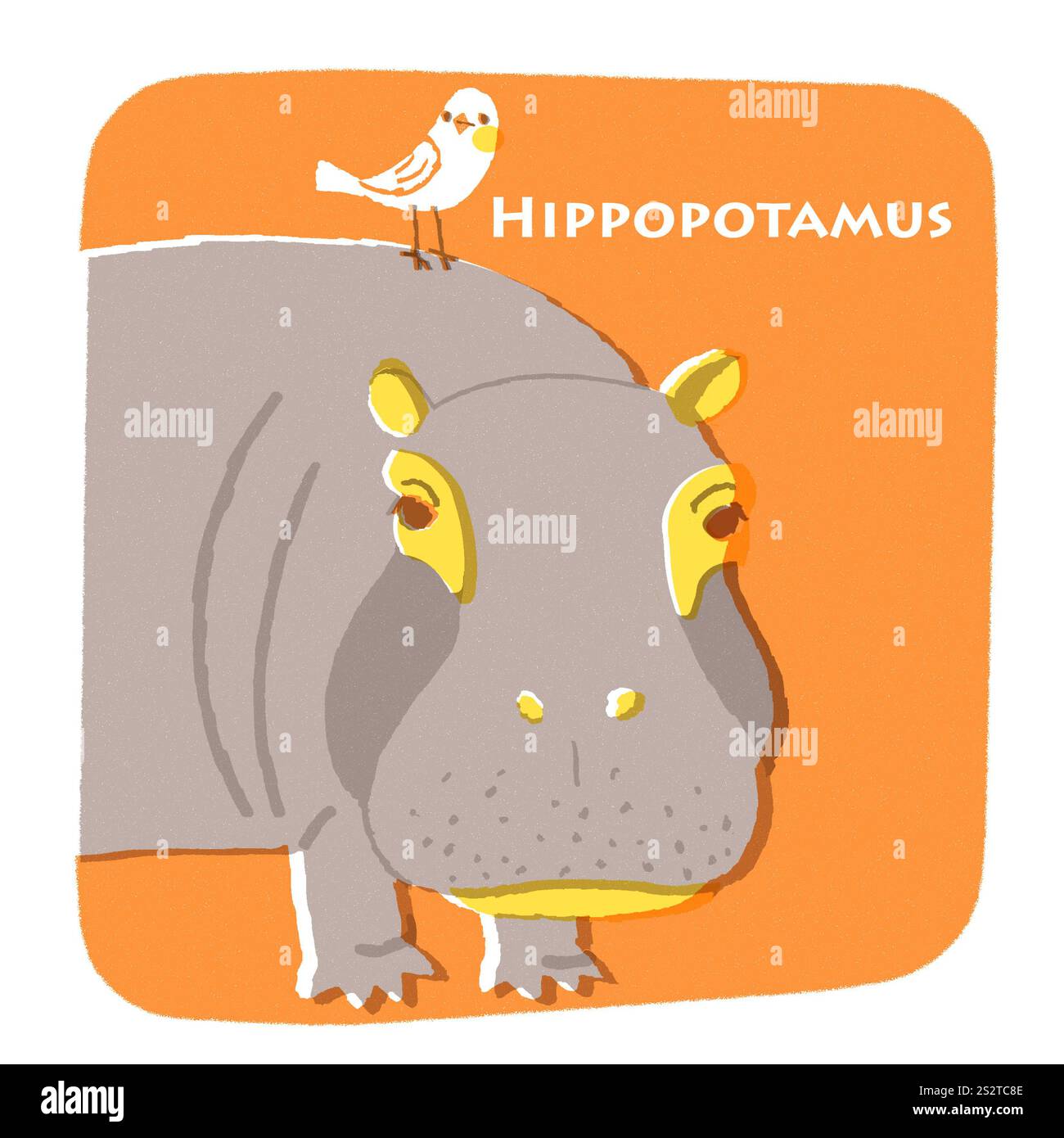 Hippopotame et petit oiseau Banque D'Images