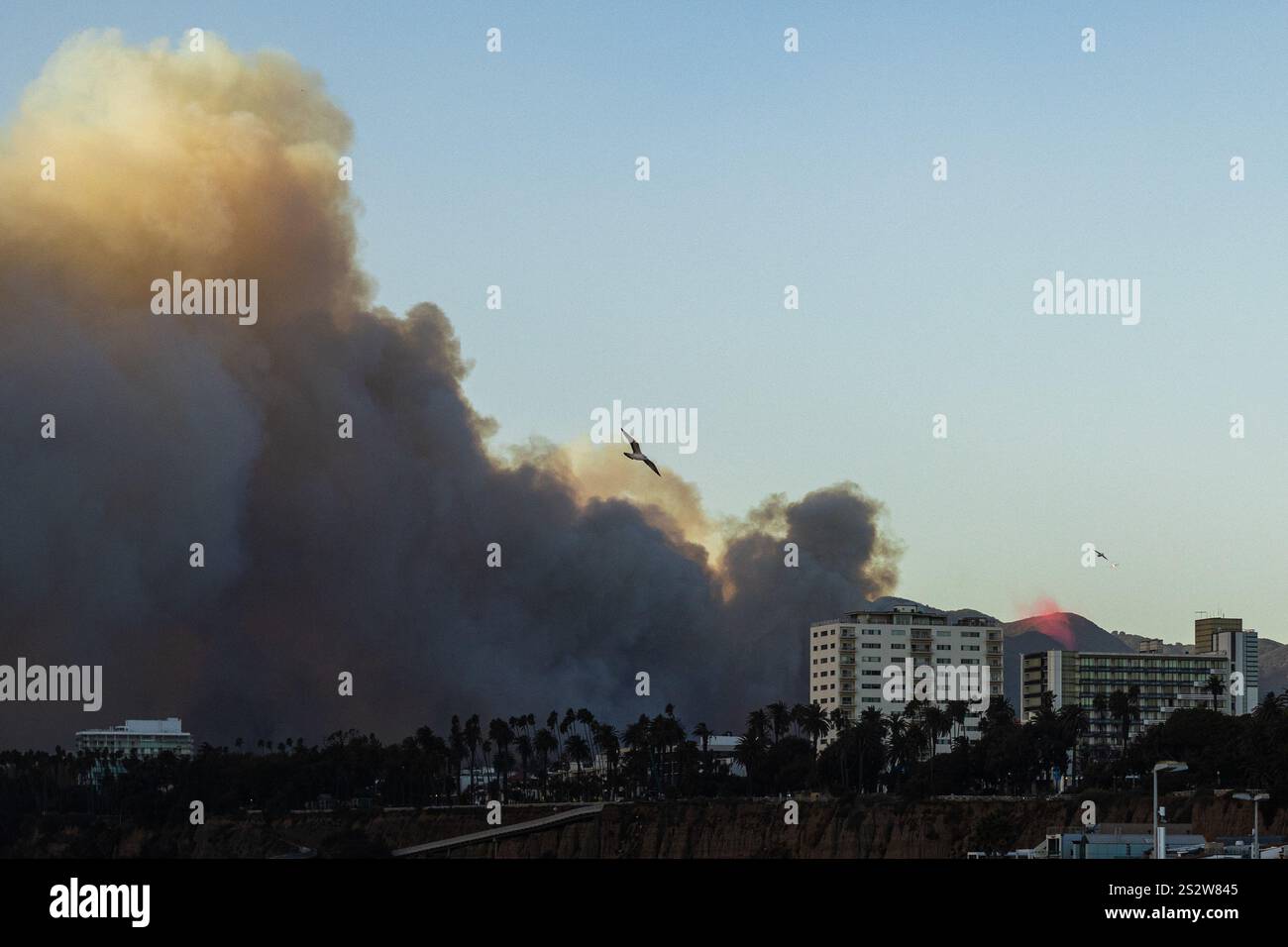 Los Angeles, États-Unis. 7 janvier 2025. Un avion de lutte contre les incendies lâche un ignifuge rouge alors que le feu des Pacific Palisades brûle près de Los Angeles, en Californie. Des vents violents et des conditions sèches devraient intensifier les feux de forêt dans les Palisades du Pacifique. Crédit : Stu Gray/Alamy Live News. Banque D'Images