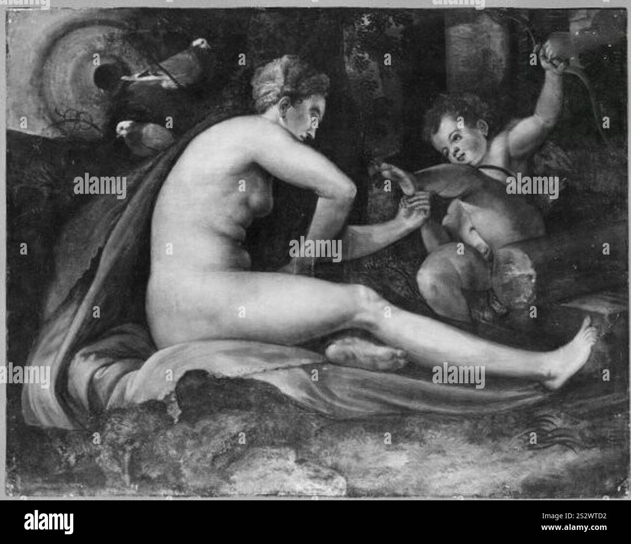 Frans Floris (Vriendt, Francois de) (1517-1570) - venus und Amor Banque D'Images