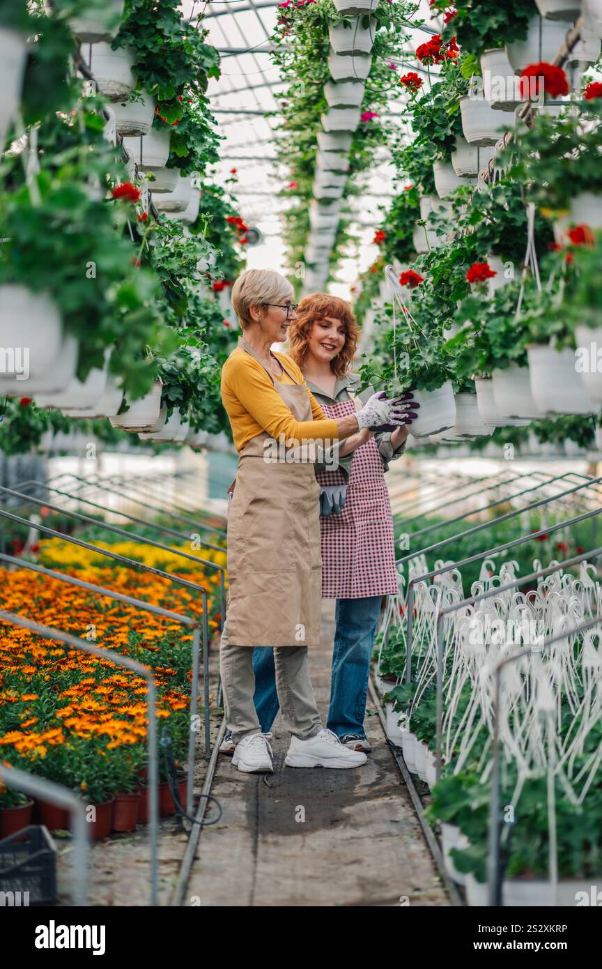 Entrepreneur horticole senior travaillant avec un jeune collègue dans une grande serre avec de nombreux pots au sol et suspendus au plafond. Jeune agriculture Banque D'Images