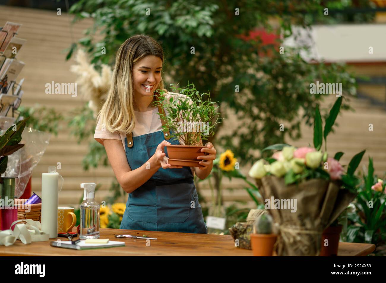 Femme fleuriste travaillant dans un magasin de fleurs et prenant soin d'une plante tout en se tenant debout à côté du comptoir entouré de fleurs et de plantes dans un sh de fleur Banque D'Images